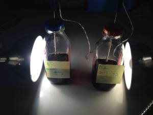 16118168_1201728443273865_12548157_n